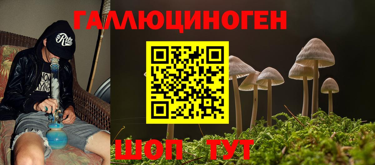 Псилоцибиновые грибы ЛСД Анапа